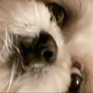 Meet your Posher, Maggie